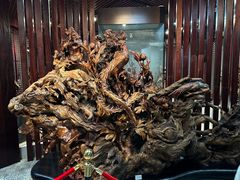 -烟台自然博物馆