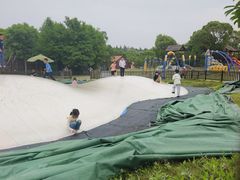 -上海长兴岛郊野公园