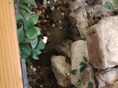 -清真·京华源铜锅涮肉(丰庆店)