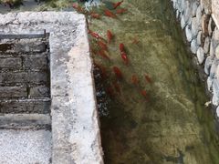 -浔岚云舍mist静谧观景美宿(丽江古城店)