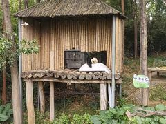 -广州长隆野生动物世界
