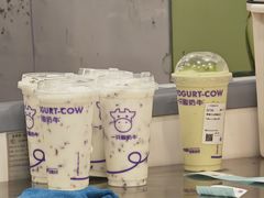 -一只酸奶牛(洪崖洞11楼店)