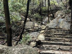 -大岭沟猕猴桃谷风景区