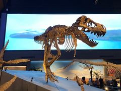 -贝林大翅鲸简餐厅(国家海洋博物馆店)