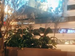 -桂满陇·海市蜃楼·黑金(国金店)