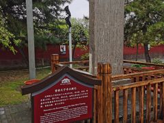 -天宁寺