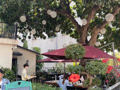 -泰堤坊(淡水体育馆店)