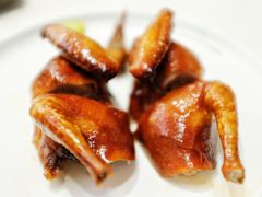-千灯盛汇·头牌粤菜(致越优城店)