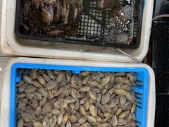 -沙田台山海鲜·酣客酒窖