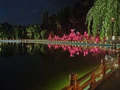 -金城公园