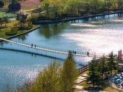 -羊亭河湿地公园