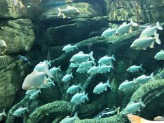 -波塞冬旅游度假区