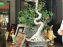 -晟永興烤鸭店(五道口店)