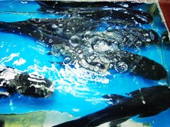 -浔味·山屿湖·正宗淳牌全鱼宴老字号