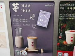 -代数学家algebraist(苏州中心店)