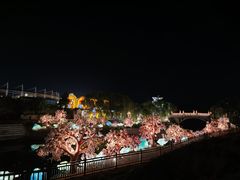 -淄博花灯齐彩城