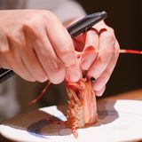 远洋鱼禅Omakase|日料爱好者的白月光  