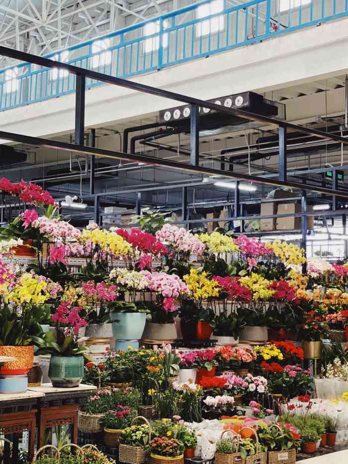 蟹岛国际花卉-"蟹岛里新开业的花卉市场,里面很宽敞,环境.