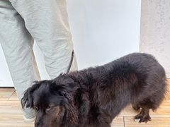 -DRUNK BAKER (上海漕宝路店)