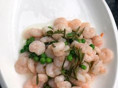 -旅马餐厅(茅家埠店)