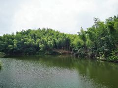 -蜀南竹海景区