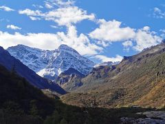 -黄龙山原始森林景区