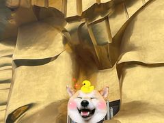 -大金鹰园