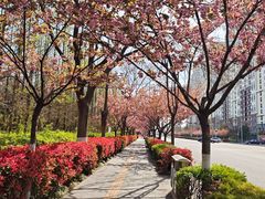 -大学城夜市