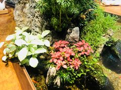 -森味薪火烧•烧鸟居酒屋•日本料理(望京店)