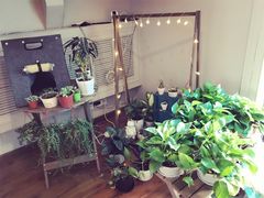 -喵zoo家庭繁育猫舍(尖东智能花园店)
