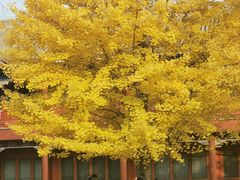 -北京石刻艺术博物馆(五塔寺)