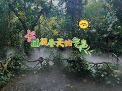 -呀诺达热带雨林