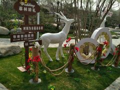 -思念果岭悦温泉