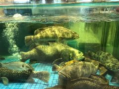 -聚福宝合苑食府(南头镇店)