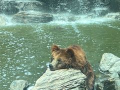 -北京野生动物园