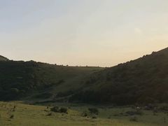 -大姆山草场