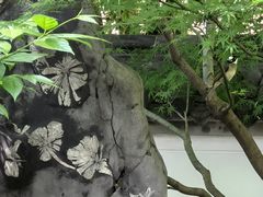 -无锡梅园公园