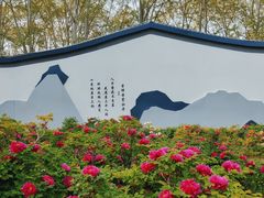 -洛阳市牡丹公园