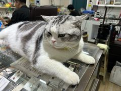 -百金通黄金回收首饰定制维修(珠江路总部)