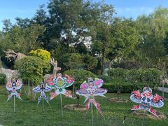 -南宫五洲植物乐园