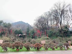 -钱江新城灯光秀