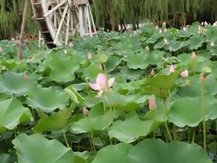 -河北村民俗体验园