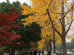 -苏州市立医院本部母子保健中心