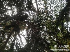 -龙达温泉生态城