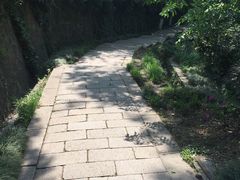 -伯先公园