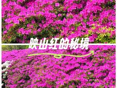 -长阳创谷
