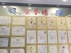 -博特宠物医院24h犬猫全科.骨科·异宠