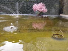 -锦江都城经典达华静安寺酒店·餐厅