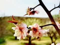 -北京明城墙遗址公园