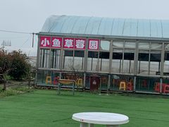 -小鱼草莓采摘园农家乐·小鱼餐厅